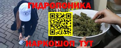 шишки Севастополь
