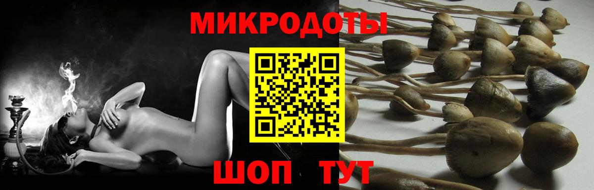 Псилоцибиновые грибы Magic Shrooms Нижний Новгород